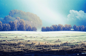 Первый дождь