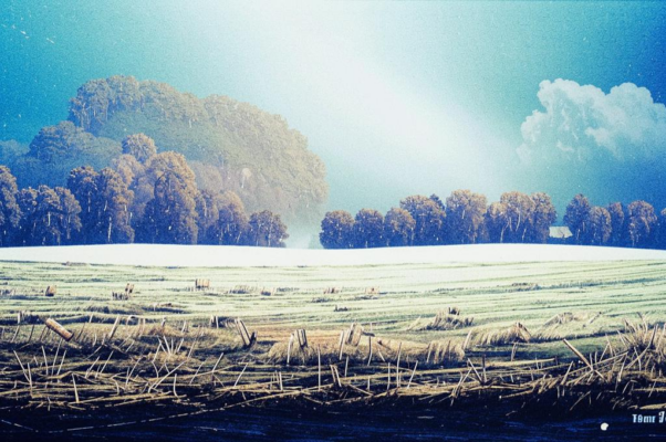 Первый дождь