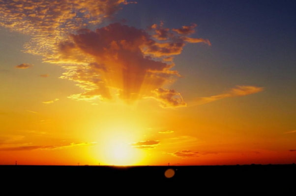 «Точно раковина, небо на закате...»