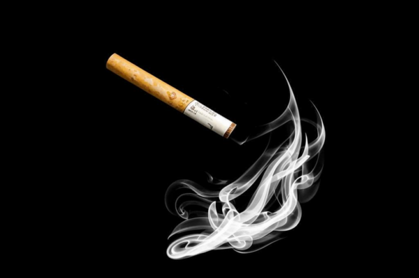 «Мы поставляем вам наброски...»