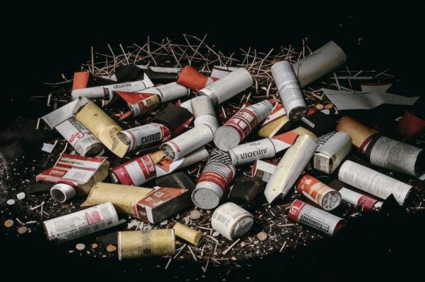 «Ни Кант, ни Гегель не были культурны...»