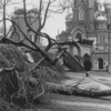 «Ослабевшая, упала...»