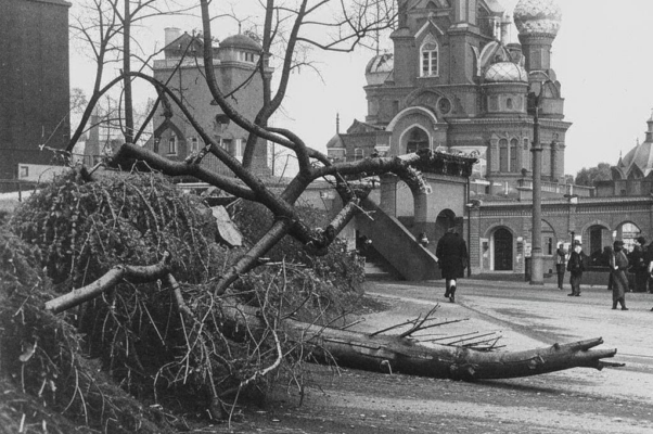 «Ослабевшая, упала...»