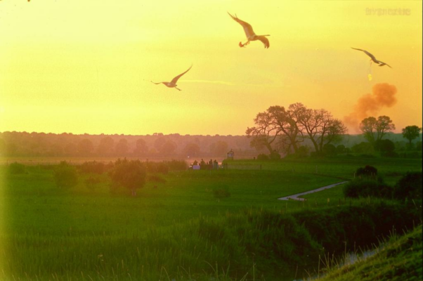 «Под горой зеленая долина...»