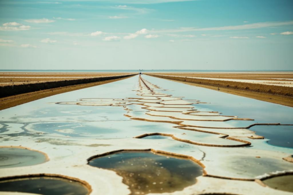 «Так, присоленная вода...»