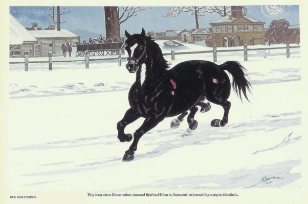 «Я высуну язык. На крюк...»