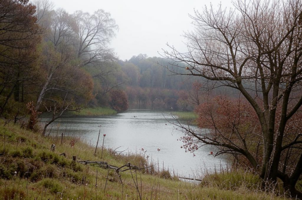 Пригород («Свеженькие кусты, н…»)